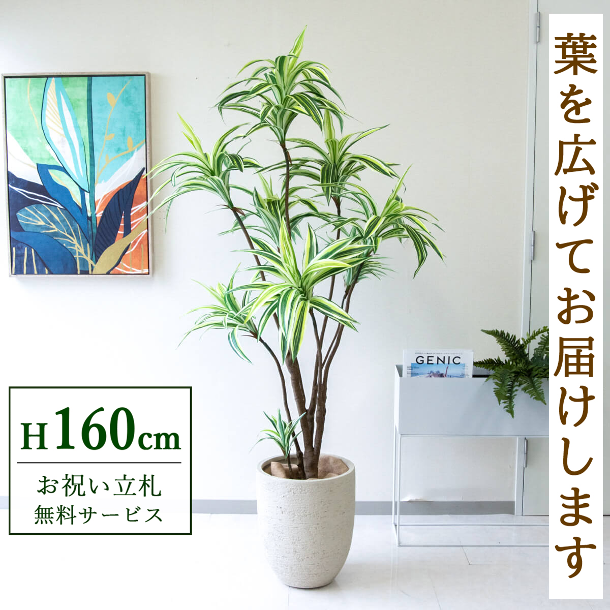 【すぐ飾れる】 フェイクグリーン ドラセナイエロー 160cm 鉢付き / 法人・開店祝い 店舗・オフィス装飾 空間演出 立札無料・造花/PG270-SFO31IV