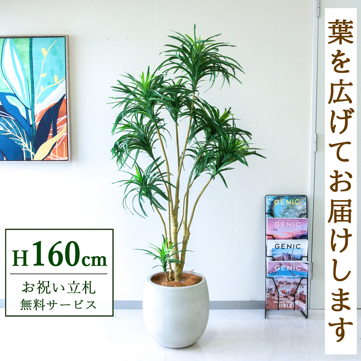 【すぐ飾れる】 フェイクグリーン ユッカツリー 160cm 鉢付き / 法人・開店祝い 店舗・オフィス装飾 空間演出 立札無料・造花/PG271-BAL35IV