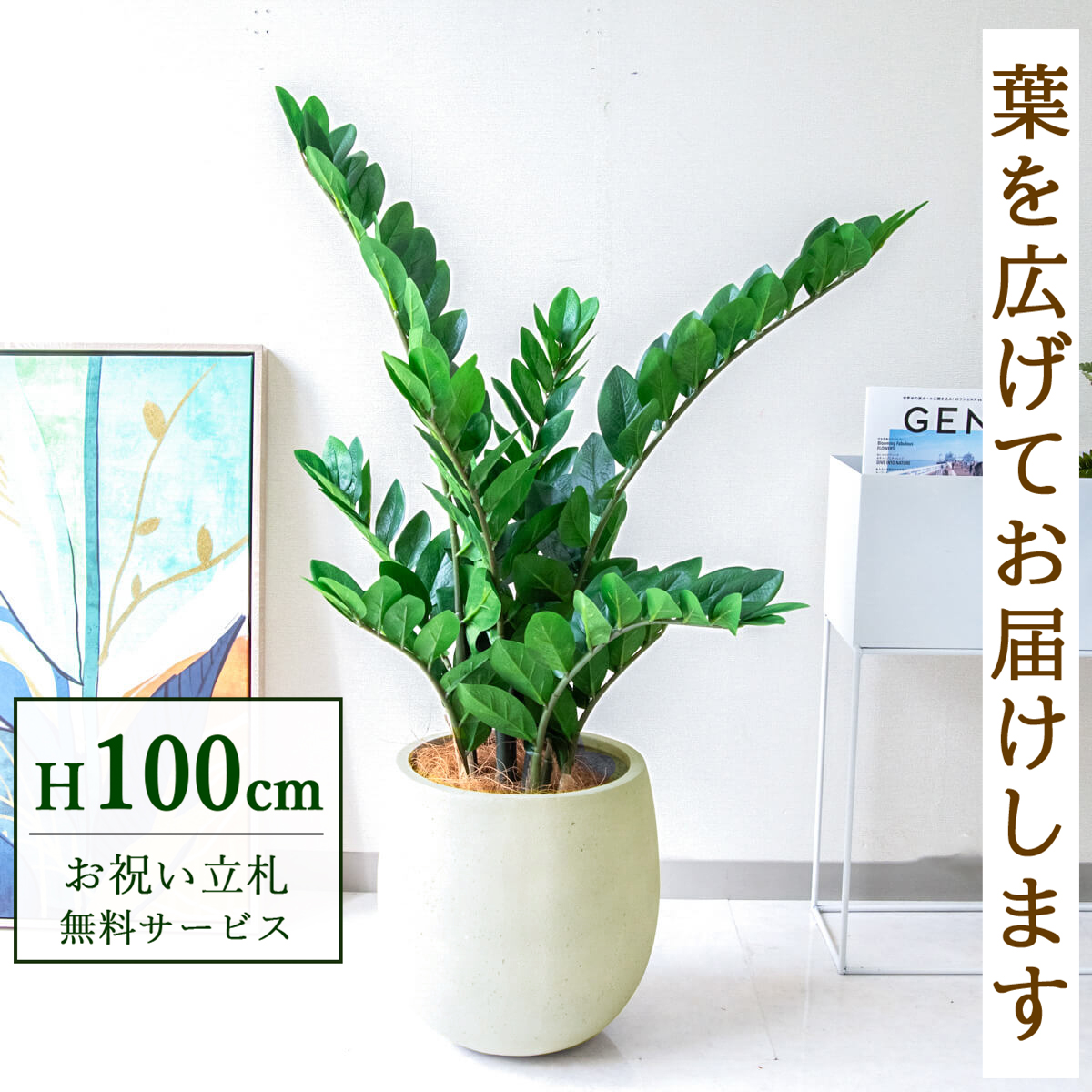 【すぐ飾れる】 フェイクグリーン ザミフォリア 100cm 鉢付き / 法人・開店祝い 店舗・オフィス装飾 空間演出 立札無料・造花/PG274-BAL30IV