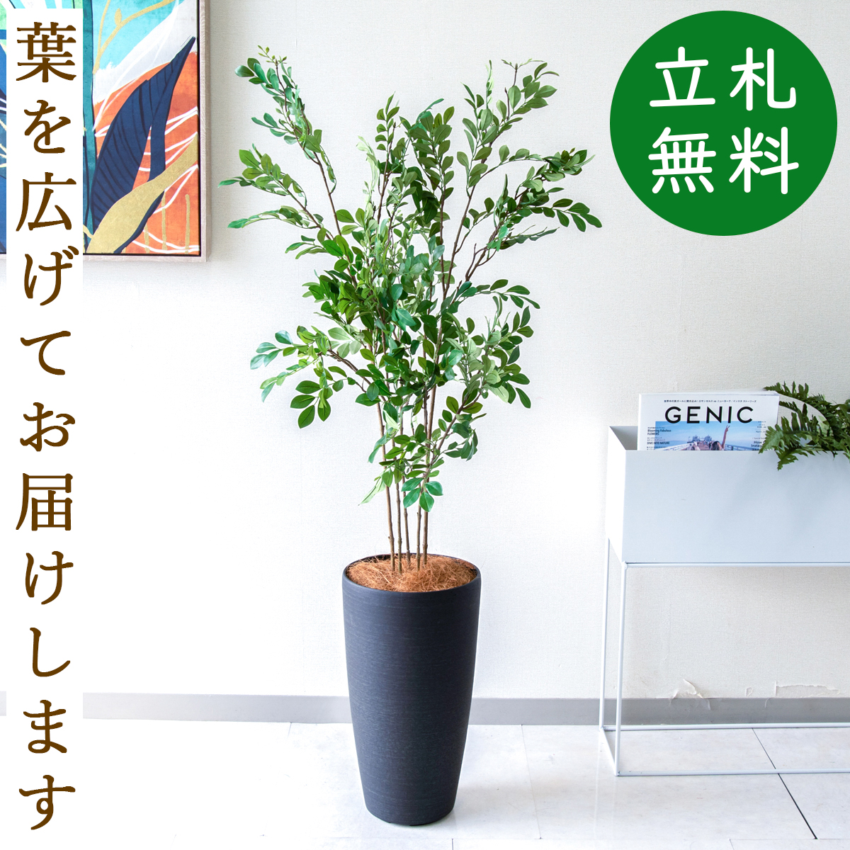 【すぐ飾れる】 フェイクグリーン トネリコ 125cm  鉢付き / 法人・開店祝い 店舗・オフィス装飾 空間演出 立札無料・造花/PG276-5-ZAG22BK