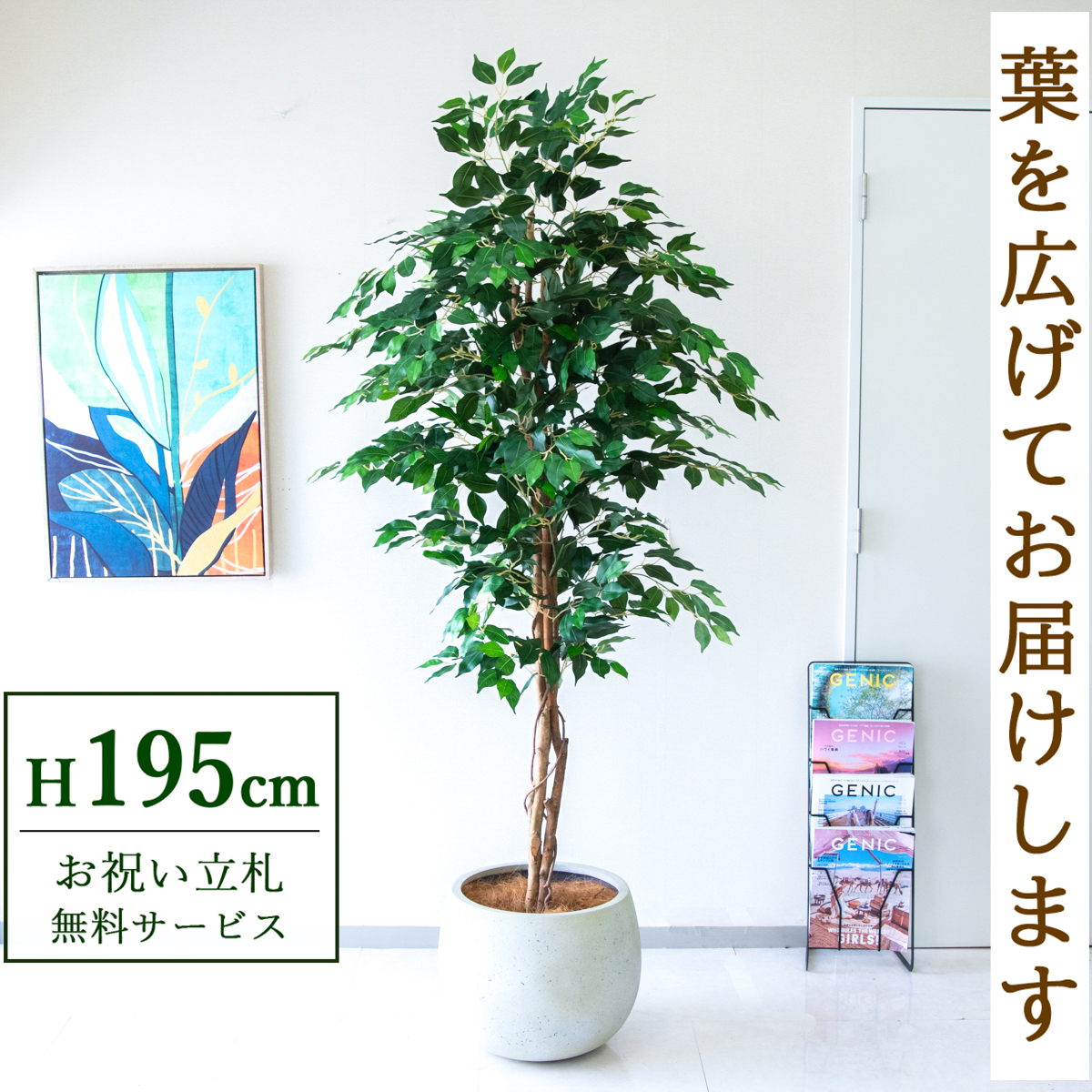 【すぐ飾れる】 フェイクグリーン フィカス ベンジャミン 195cm  大型 鉢付き / 法人・開店祝い 店舗・オフィス装飾 空間演出 立札無料・造花/PG278-D42IV