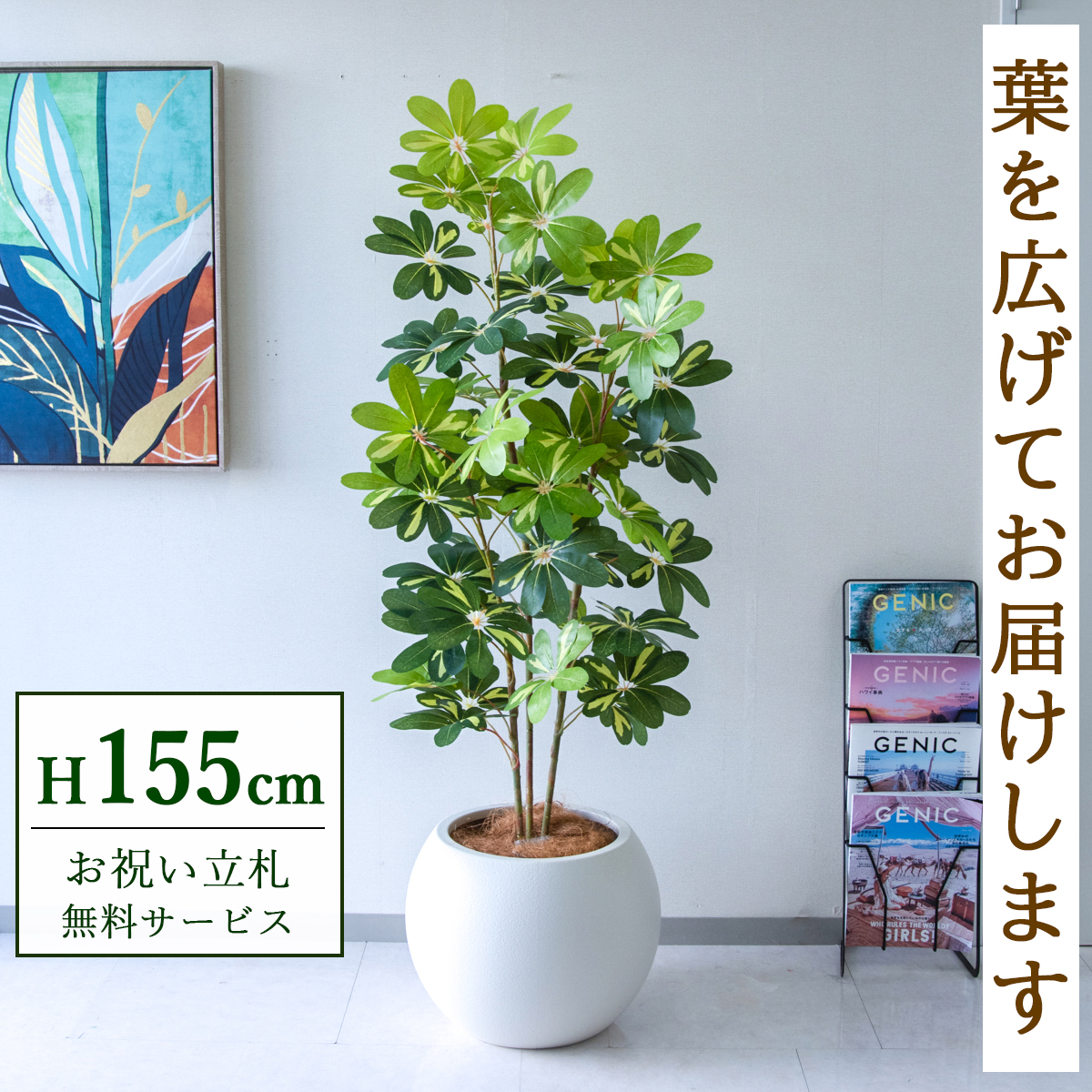 【すぐ飾れる】 フェイクグリーン シェフレラ カポック 155cm  鉢付き / 法人・開店祝い 店舗・オフィス装飾 空間演出 立札無料・造花/PG282-ROM43IV