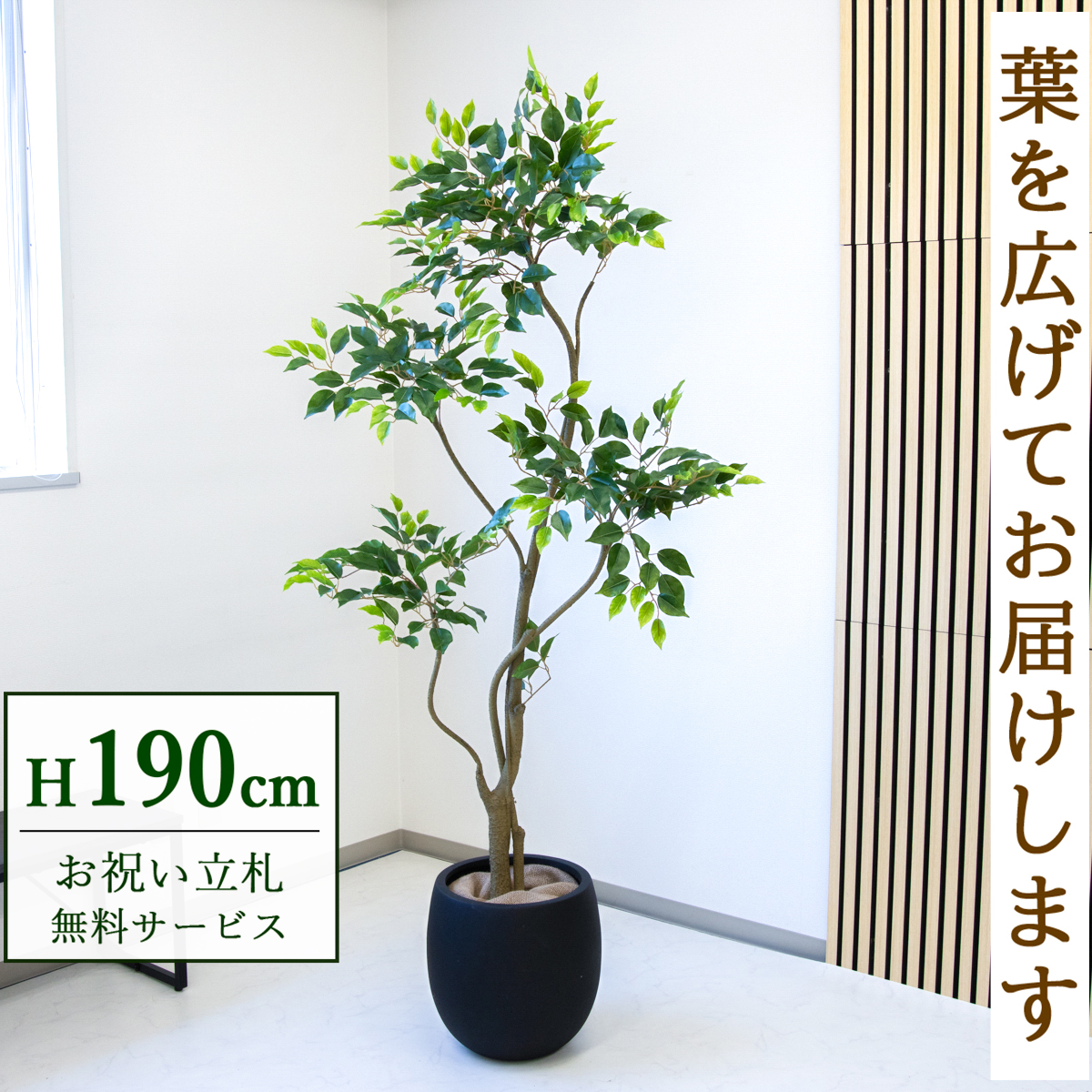 【すぐ飾れる】 フェイクグリーン フィカス ベンジャミン 190cm  大型 鉢付き / 法人・開店祝い 店舗・オフィス装飾 空間演出 立札無料・造花/PG284-BAL35BK