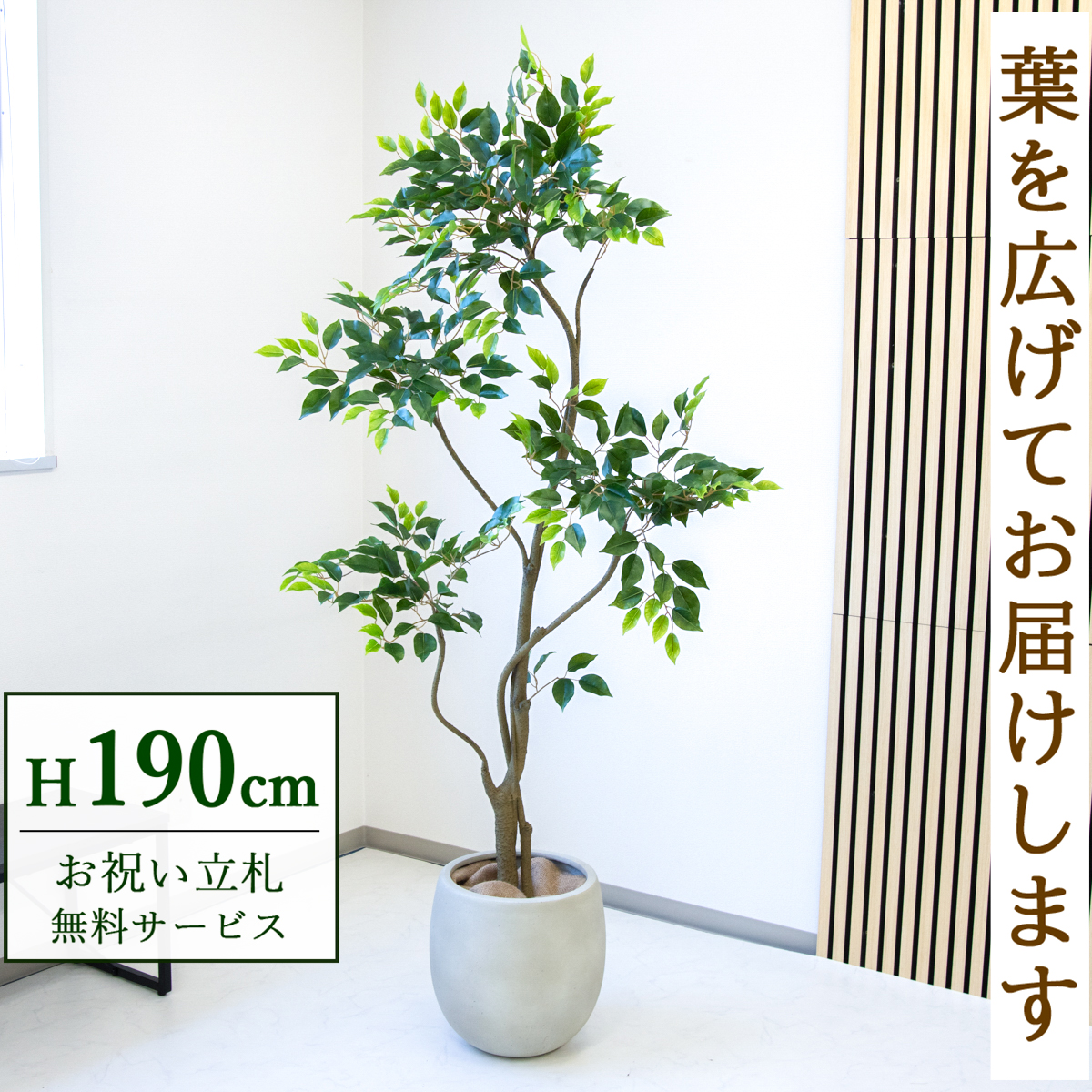 【すぐ飾れる】 フェイクグリーン フィカス ベンジャミン 190cm  大型 鉢付き / 法人・開店祝い 店舗・オフィス装飾 空間演出 立札無料・造花/PG284-BAL35IV