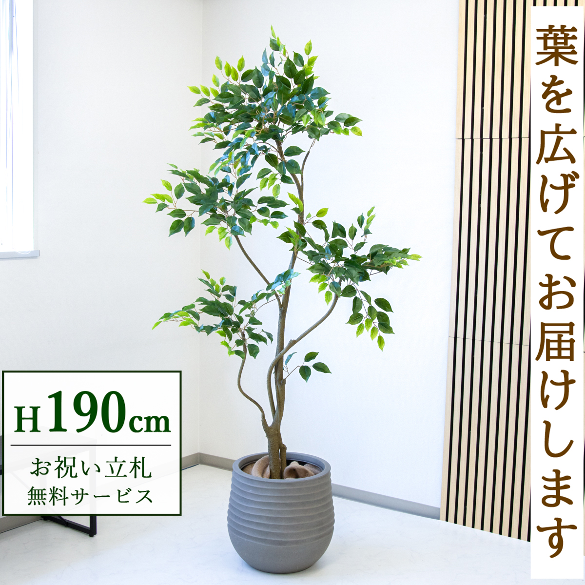 【すぐ飾れる】 フェイクグリーン フィカス ベンジャミン 190cm  大型 鉢付き / 法人・開店祝い 店舗・オフィス装飾 空間演出 立札無料・造花/PG284-J40