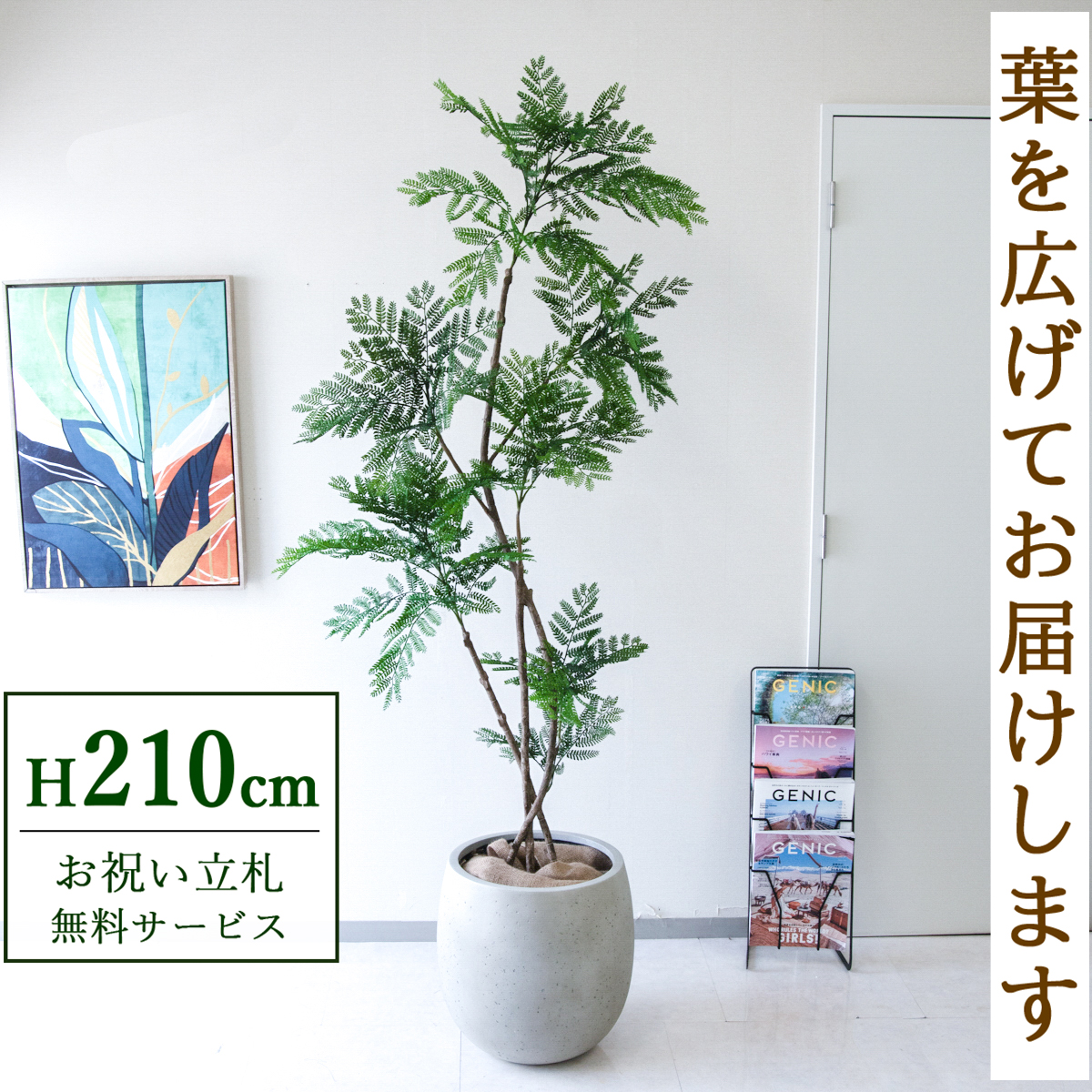 【すぐ飾れる】 フェイクグリーン エバーフレッシュ 210cm  鉢付き / 法人・開店祝い 店舗・オフィス装飾 空間演出 立札無料・造花/PG288-BAL42IV