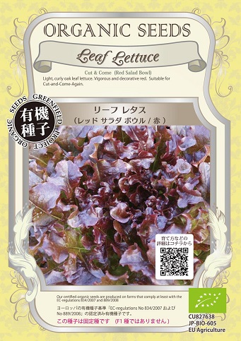 有機種子レッドサラダボウル赤