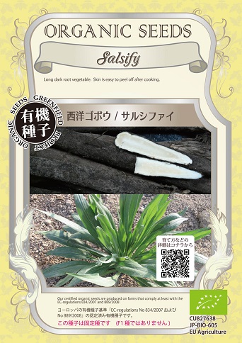 有機種子西洋ゴボウサルシファイ