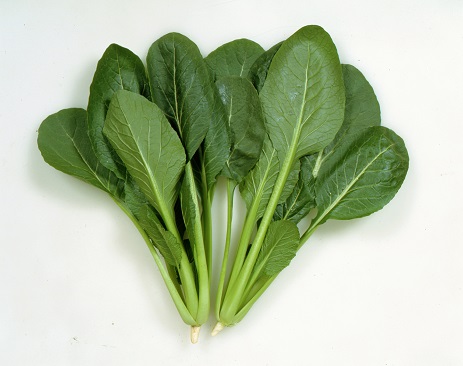 カネコよかった菜