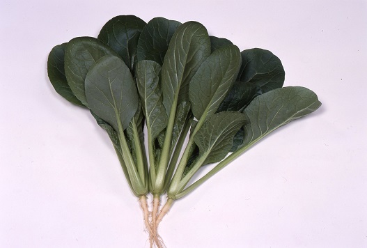 サカタきよすみ