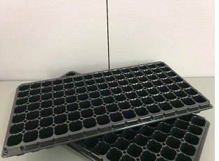 播種育苗用トレイ セルトレイ（SPトレイ）