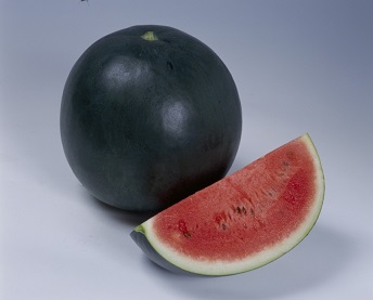 タキイブラックボール２