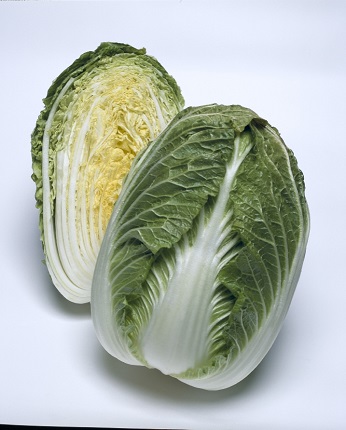 晴黄８５