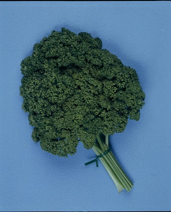 カーリパラマウント