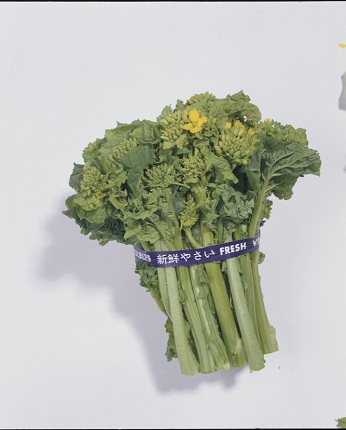 菜花種子 食用菜の花