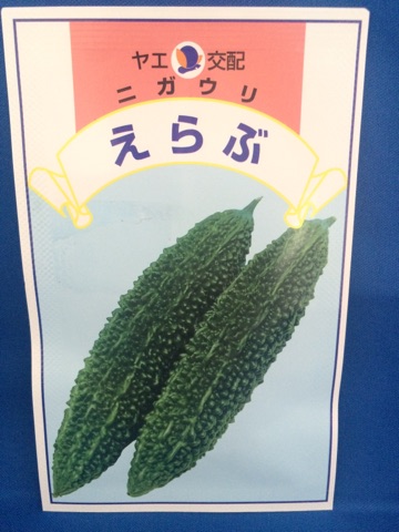 ゴーヤ種子 えらぶ