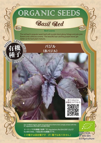 有機種子赤バジル