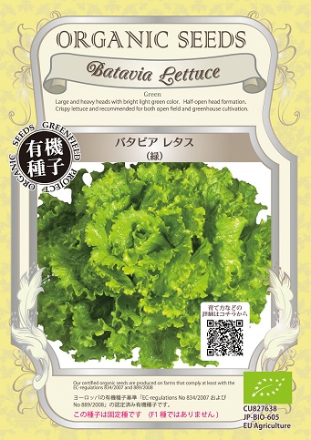バタビアレタス緑
