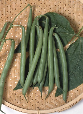 サカタアーロン