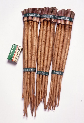 サカタダイエット