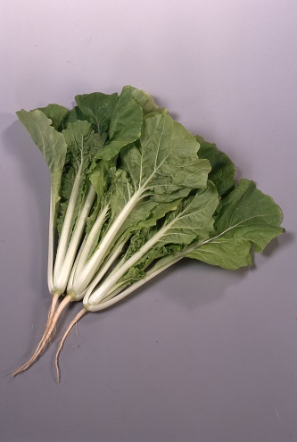 サカタはまみなとべかな