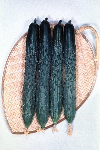 サカタ黒さんご