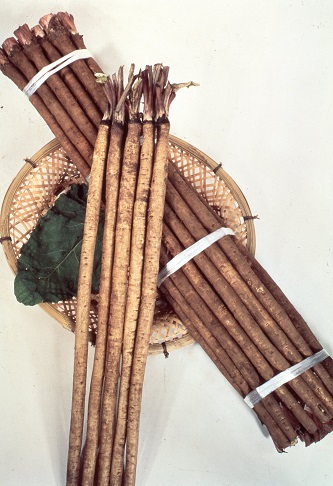 サカタみとよ白肌