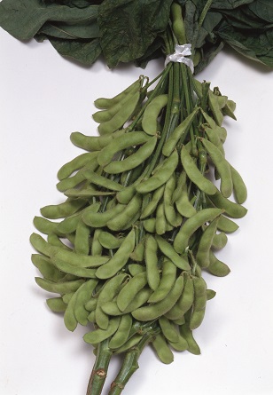 サカタおつな姫