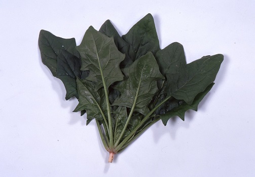 サカタパレード