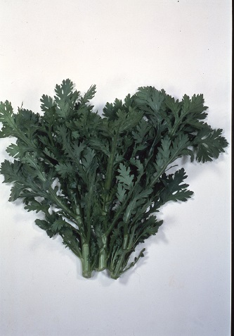 サカタさとゆたか