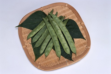 サカタつるなしジャンビーノ