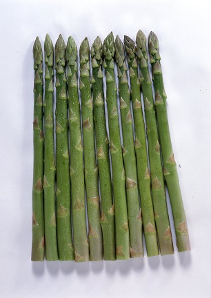 サカタウエルカム