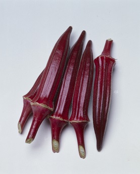 タキイオクラベニー