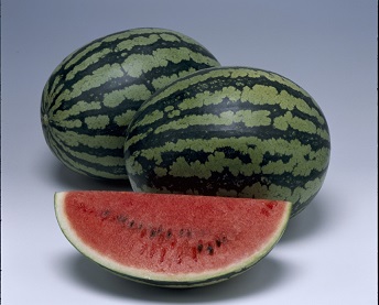 タキイ紅まくら