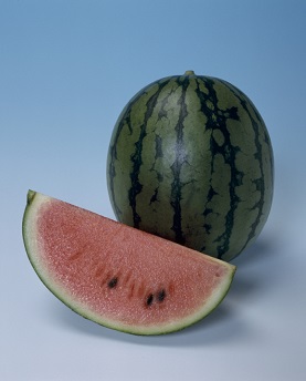 タキイ紅しずく