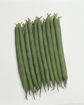 タキイ初みどり２号