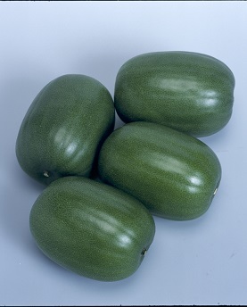 タキイ姫とうがん