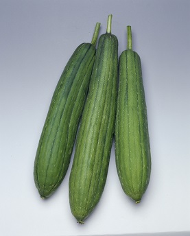 タキイ太へちま