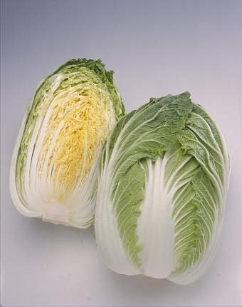 黄ごころ８０