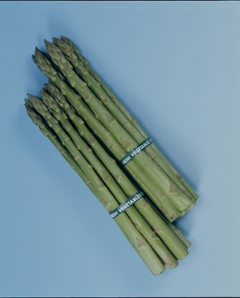 メリーワシントン