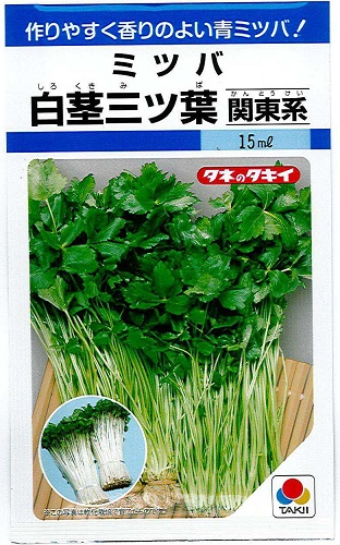 白茎三つ葉関東