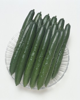 タキイ夏すずみ