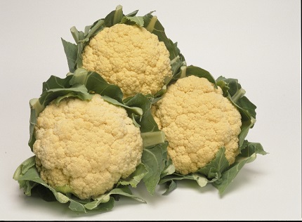 オレンジブーケ