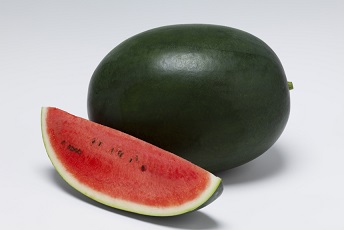 タキイピロマスタ２