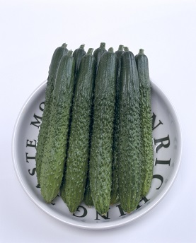 タキイシャキット