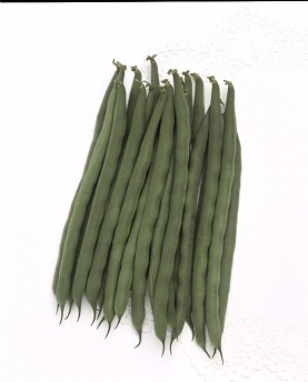 タキイスラットワンダー