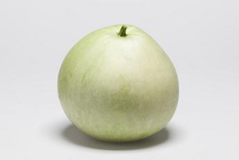 タキイ十貫目大丸かんぴょう