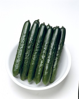 タキイつや太郎