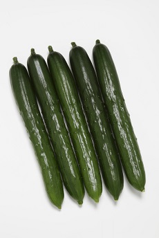 タキイVR夏すずみ