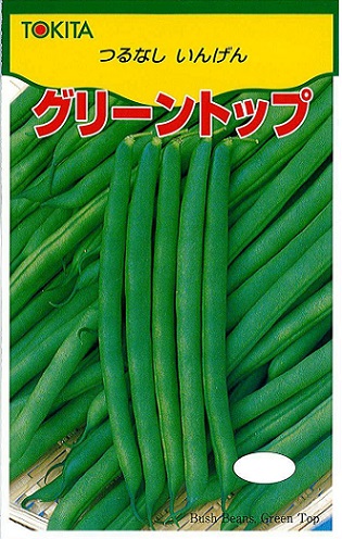 トキタグリーントップ